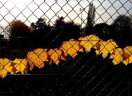 Lumière de grillage