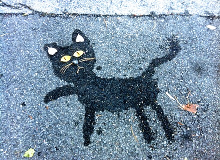 Chat mouillé