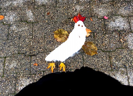 Poulet 