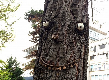 Face de tronc
