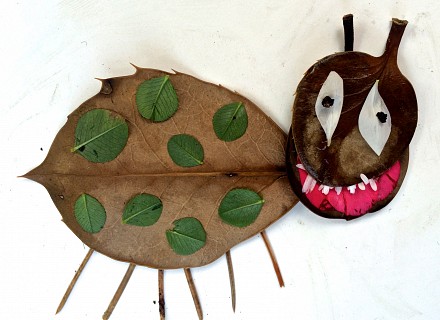 drôle d'insecte 
