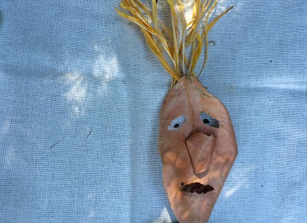 Monsieur feuille