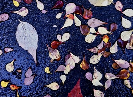Mosaïque
