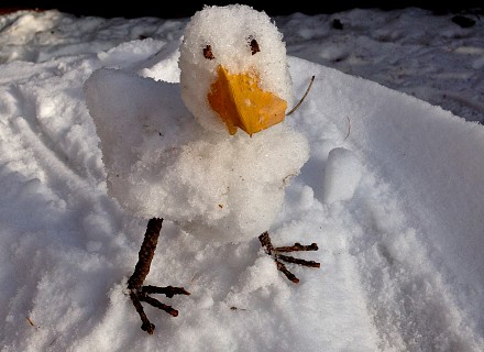 Un froid de….