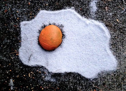 Un oeuf froid