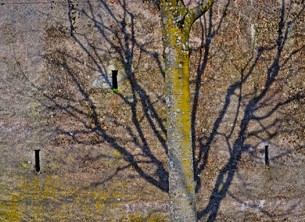 Couleur d'automne