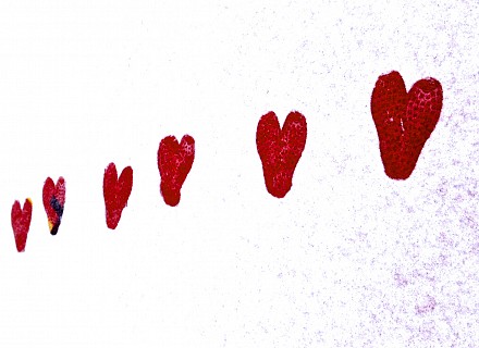 Amour de la neige