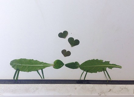 Un amour nature